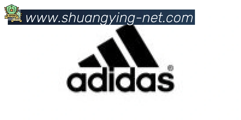 双赢彩票入口合作伙伴